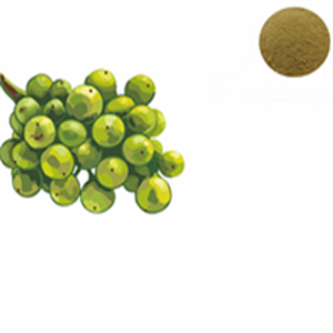 green coffee bean extract
