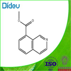 METHYL ISOQUINOLINE-8-CARBOXYLATE 