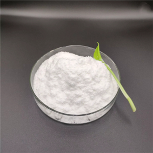 Cyclopentane-1,2-dicarboximude 