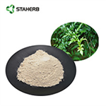 vine tea extract dihydromyricetin