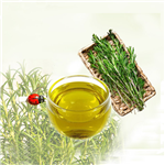 Rosemary Essentiol Oil