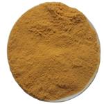 Echinacea Extract
