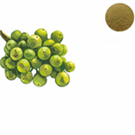 green coffee bean extract