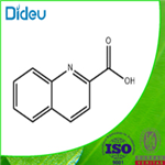 Quinaldic acid 