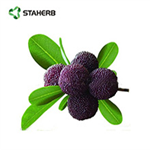 Cortex Myricae extract Myricetin