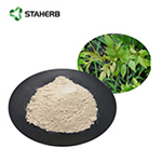 vine tea extract dihydromyricetin