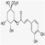 Chlorogenic acid