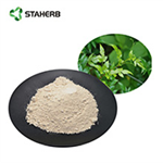 vine tea extract dihydromyricetin