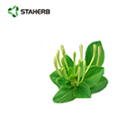 Honeysuckle Extract chlorogenic acid