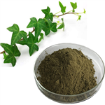 IVY EXTRACT