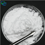 Procaine Hydrochloride 