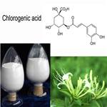 Chlorogenic acid