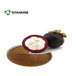 mangosteen polyphenols