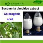 Chlorogenic acid