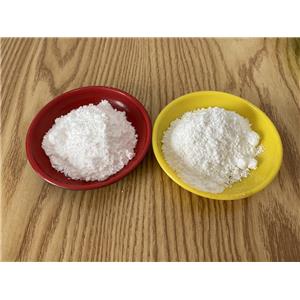 Methandrostenolone Dianabol powder