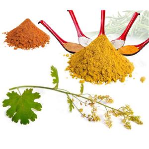 chelerythrine Macleaya cordata extract