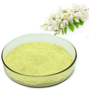 Genistein Sophora Japonica Extract 