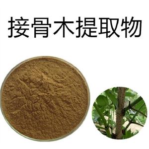 Elderberry Extract