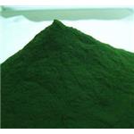 Chlorella Powder