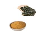 Oolong Tea Extract(90% Polyphenol,60% Catechin)