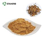 cordyceps extract