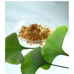 Ginkgo Biloba Extract