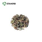 Verbena extract