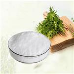 Ursolic acid Rosemary Extract 