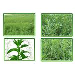 Stevia Extract