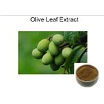 Olive Leaf Extract