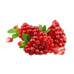 Pomegranate Extract