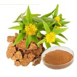 Rhodiola Rosea Extract