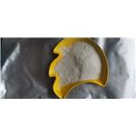 Dimethocaine Hydrochloride 