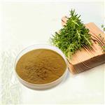 Ursolic acid Rosemary Extract 