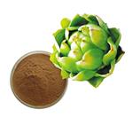 globe artichoke extract