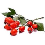 Rose Hip extract