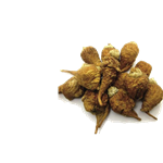 maca extract