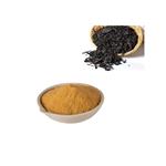 Dark Tea Extract