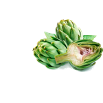 globe artichoke extract