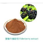 Elderberry Extract