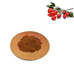 Rose Hip extract