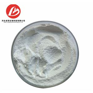 Lidocaine hydrochloride