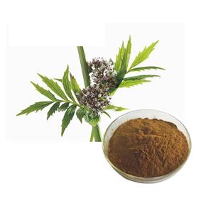 Valerian Root Extract