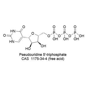 pUTP, 0.1M solution (Li or Na salt)