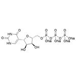 pUTP, 0.1M solution (Li or Na salt)