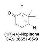  (1R)-(+)-Nopinone