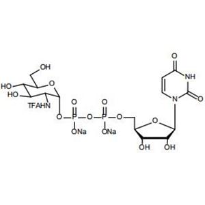 UDP-GlcNTFA.2Na
