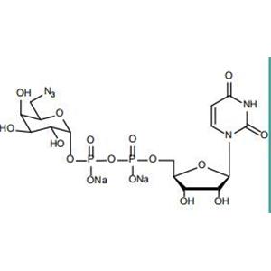 UDP-6-azido-6-deoxy-D-Gal.2Na