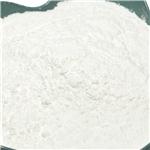 Probiotic Bacillus Coagulans