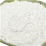 Probiotic Bacillus Coagulans
